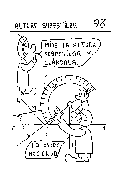 Altura subestilar 05